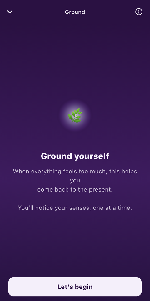 The MoodFire Ground screen guiding the 5-4-3-2-1 sensory grounding technique.